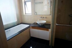 Cairnhill Crest (D9), Condominium #489507341